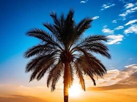 Golden Sunshine With Palm Tree photo