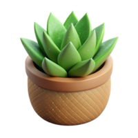 Haworthia dentro Panela 3d render png