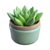 Haworthia dentro Panela 3d decoração png