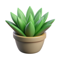 Haworthia dentro Panela 3d enfeite png