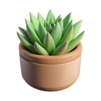 Haworthia dentro Panela 3d imagem png