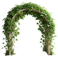 Ivy Arch 3d Graphic png