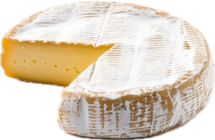 ronde Brie kaas met een besnoeiing plak. png