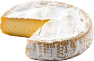 rond Brie fromage avec une Couper tranche. png