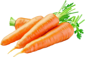 fresco biologico carote con verde cime. png