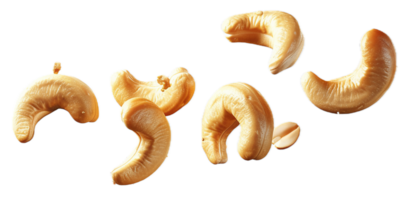 geröstete Cashewnüsse. png