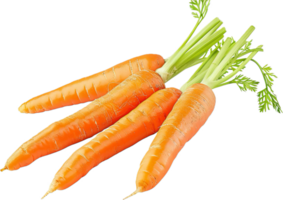 Fresh Organic Carrots with Green Tops. png