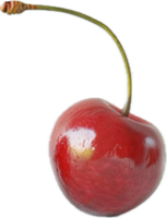 Close-up of Fresh Red Cherry with Stem png