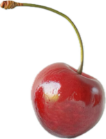 de cerca de Fresco rojo Cereza con vástago png