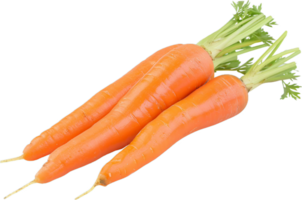 Fresco orgánico zanahorias con verde tapas png