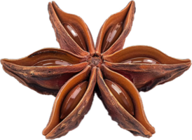 Close-up of Star Anise Spice. png