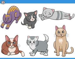 cartoon cats and kittens comic characters set vector