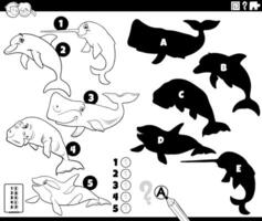finding shadows game with cartoon marine mammals coloring page vector