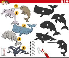 finding shadows activity with cartoon marine mammals vector