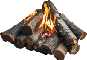 Burning Logs in Campfire Flames. png