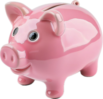 Pink Ceramic Piggy Bank. png