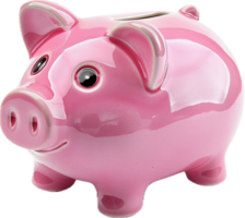 Pink Ceramic Piggy Bank. png