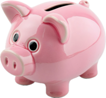 Pink Ceramic Piggy Bank. png