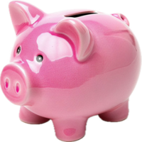 Pink Ceramic Piggy Bank. png