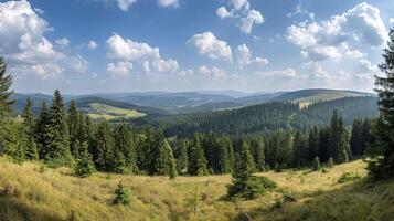 Panoramic view of mountains and forest. photo