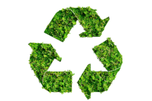 Green Recycle Symbol Made of Fresh Leaves. png