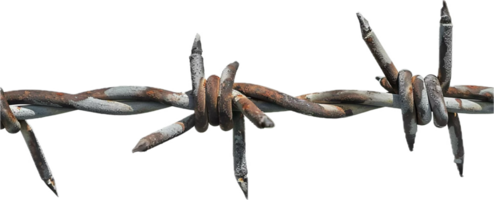 Rusty Barbed Wire Close-Up. png