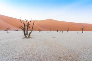 muerto arboles a Deadvlei en el namib Desierto en Namibia. foto