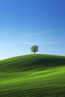 A green hillside with a blue sky in the background photo