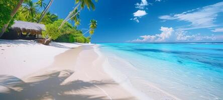 A beautiful beach with palm trees and a clear blue sky photo