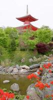Buddhist temple in beautiful Japanese garden with blossom plants in Krasnodar, Vertical view video