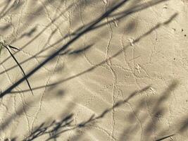Wavy desert sand texture background. Yellow fine beach sand. The texture of the beach sand as background. Shadow and traces of birds on the sand. photo