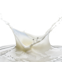 white milk splash on transparent background png