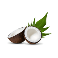 dos medio de Coco Fruta con hoja aislado. png