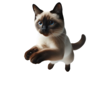 Graceful Siamese Cat Leaping in Mid-Air, Transparent Background, Isolated Feline Illustration png