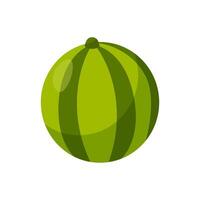 Cartoon watermelon illustration. Whole ripe watermelon. Healthy berry vector