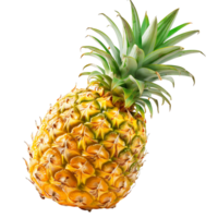 Tropical Pineapple Images for Your Creative Projects png