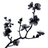 Gothic Branch with Black Flowers for Your Creative Projects png