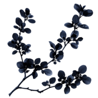 Unlock Creativity with Branch with Black Flowers Cut Outs png