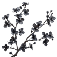 Seamless Branch with Black Flowers Cut Outs Stock Assortment png