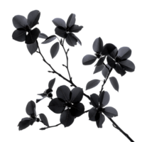 Seamless Integration Branch with Black Flowers Cut Outs Stock Photos png