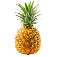 Explore Pineapple Cut Outs Stock Photography Collection png