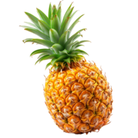 Unlock Creativity with Isolated Pineapple Cut Outs png