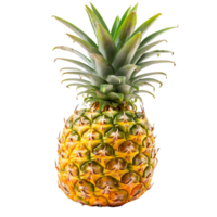 Exotic Pineapple Cut Outs Ready to Use Images png