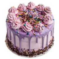 Birthday Cake with Candles Variety Essential Stock Resource png