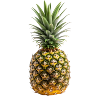 Pineapple Isolation Diverse Stock Options png