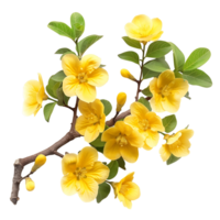 Unlock Creativity with Isolated Yellow Autumn Flower Branch Cut Outs png