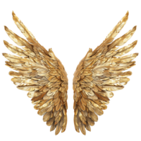 Golden Angel Wings Detail Stock Imagery Ready for Your Designs png