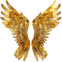 Heavenly Golden Angel Wings Cut Outs Ready to Use Images png