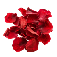 Red Flower Petals Isolation Diverse Stock Options png
