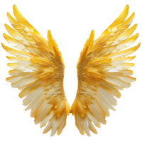 Contemporary Golden Angel Wings Images for Your Creative Projects png